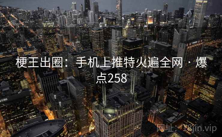 梗王出圈:手机上推特火遍全网 · 爆点258
